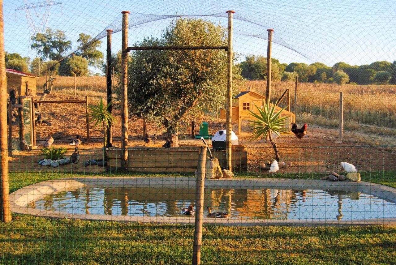 Monte D'Vagar By Estilo Lusitano, Com Piscina Privada Grândola Exterior foto